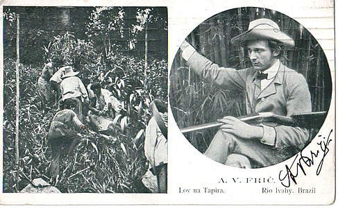 Cestovatel a kaktus Alberto Vojtch Fri na dobovch pohlednicch