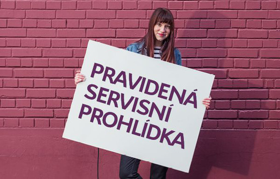 Pravidelná servisní prohlídka