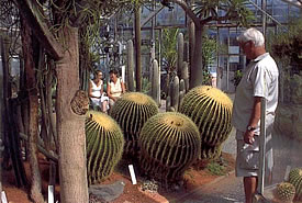Flora Olomouc
