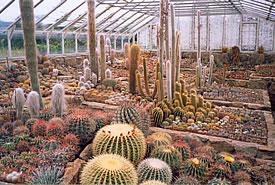 sbírka Dr. Rudolfa Slaby - Tálín 2004