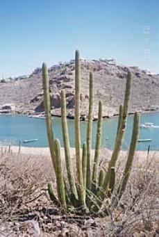 mexiko7