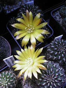 foto15