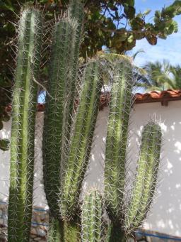 tichy2012_16