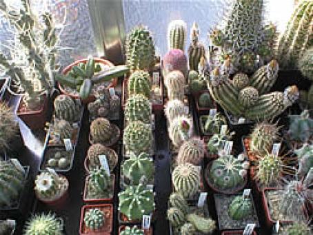 foto47