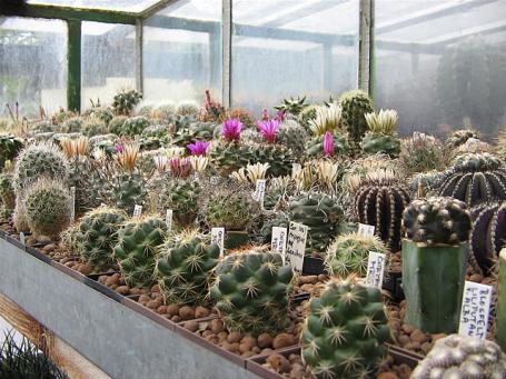 foto08