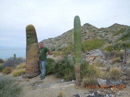 baja-california-2013_129
