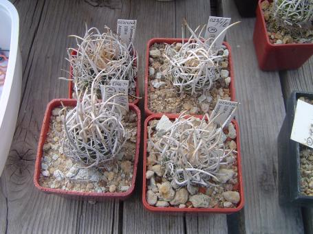 DSC06734