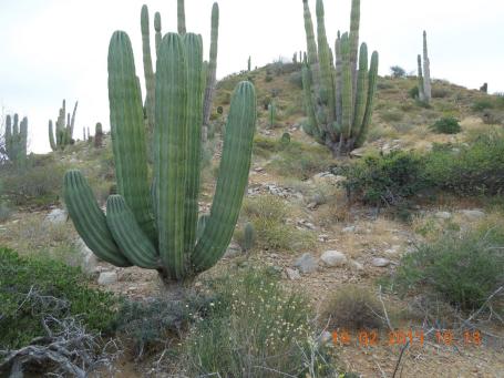 baja-california-2013_125