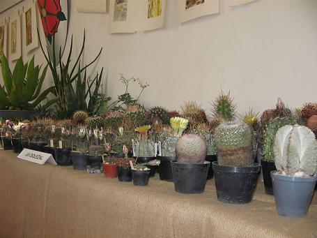 foto10 foto10