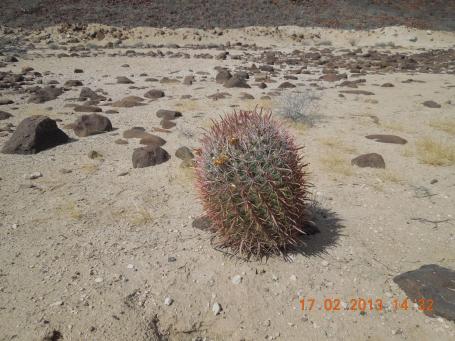 baja-california-2013_120