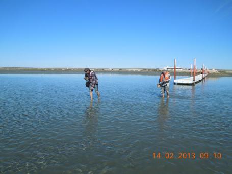 baja-california-2013_90