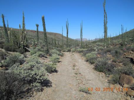 baja-california-2013_49