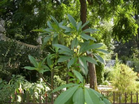 foto11