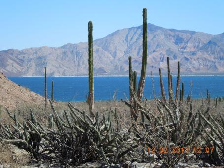 baja-california-2013_67