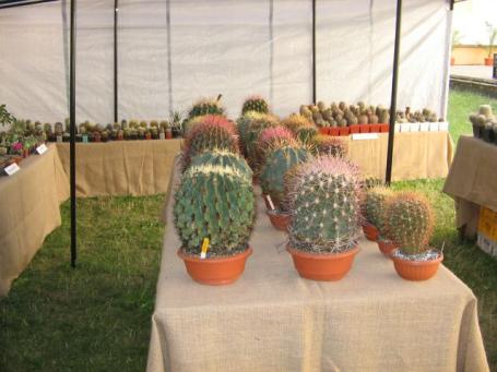 foto12 foto12