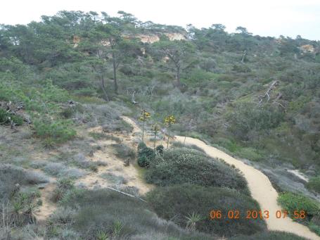 baja-california-2013_03