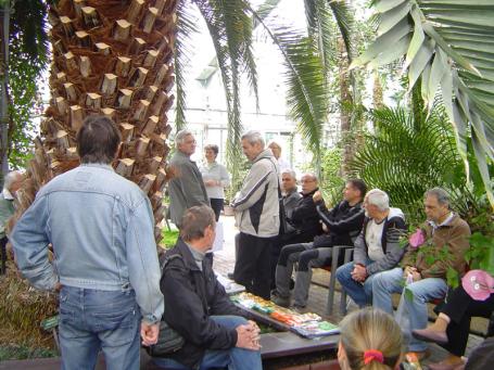 Schůze pod obrovitým exemplářem Phoenix canariensis