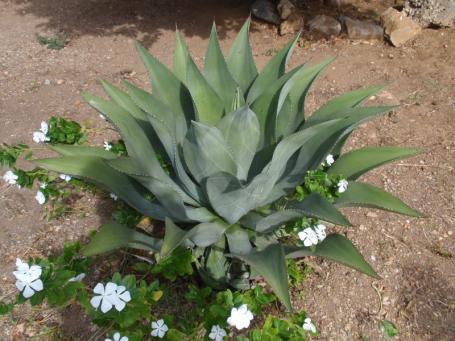 tichy2012_11