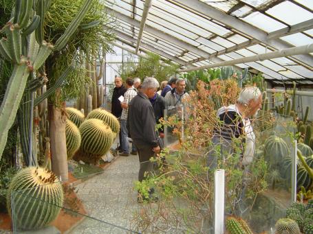 Echinocactusy grusonii jsou pozitiva, negativum je pak cena energií při zimním topení