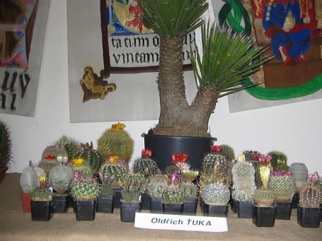 foto12 foto12