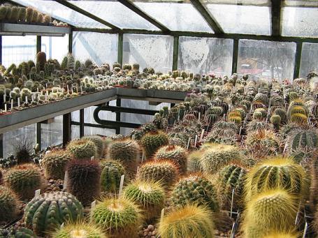 foto10