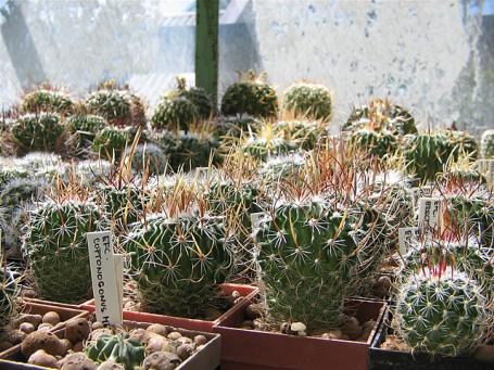 foto11