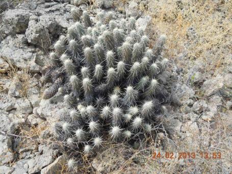 baja-california-2013_179