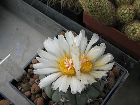 foto06