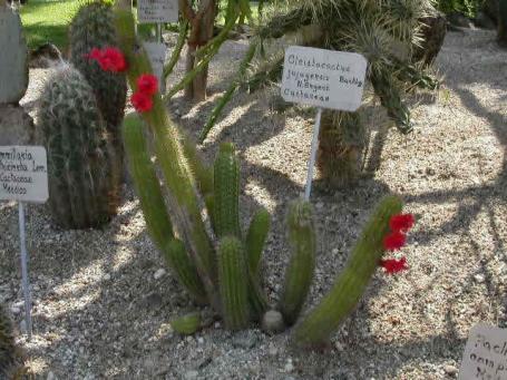 foto3