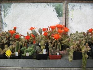 Den otevřených dveří p. Kryštofek 7.6.2008