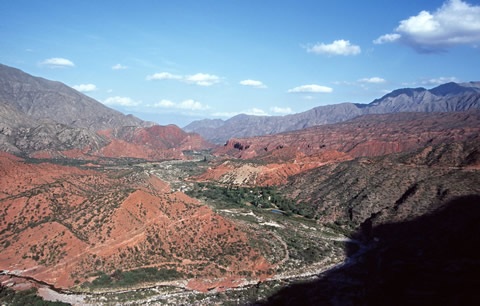 Nalezit Gymn guanchinense, Cuesta Miranda, foto VS