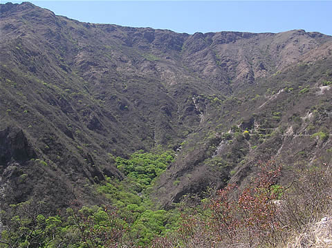 Stanovit Gymn. nigriareolatum, foto Rudolf Frlich