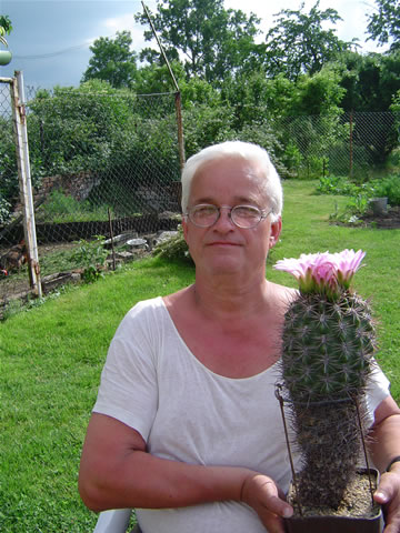 Gymn. horridispinum seedling from Pažout 1966