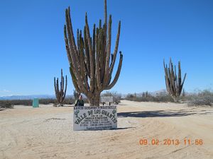 Jan Provaz: Baja California 2013