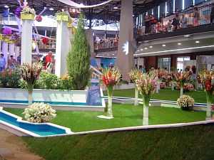 Flora Olomouc srpen 2017