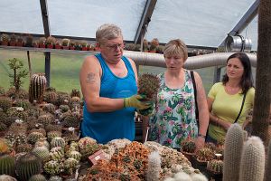 Zájezd kaktusářů z Lublinu, Polsko, červen 2019