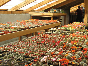 Den otevřených dveří u Rostislava Kryštofka 7.6.2008